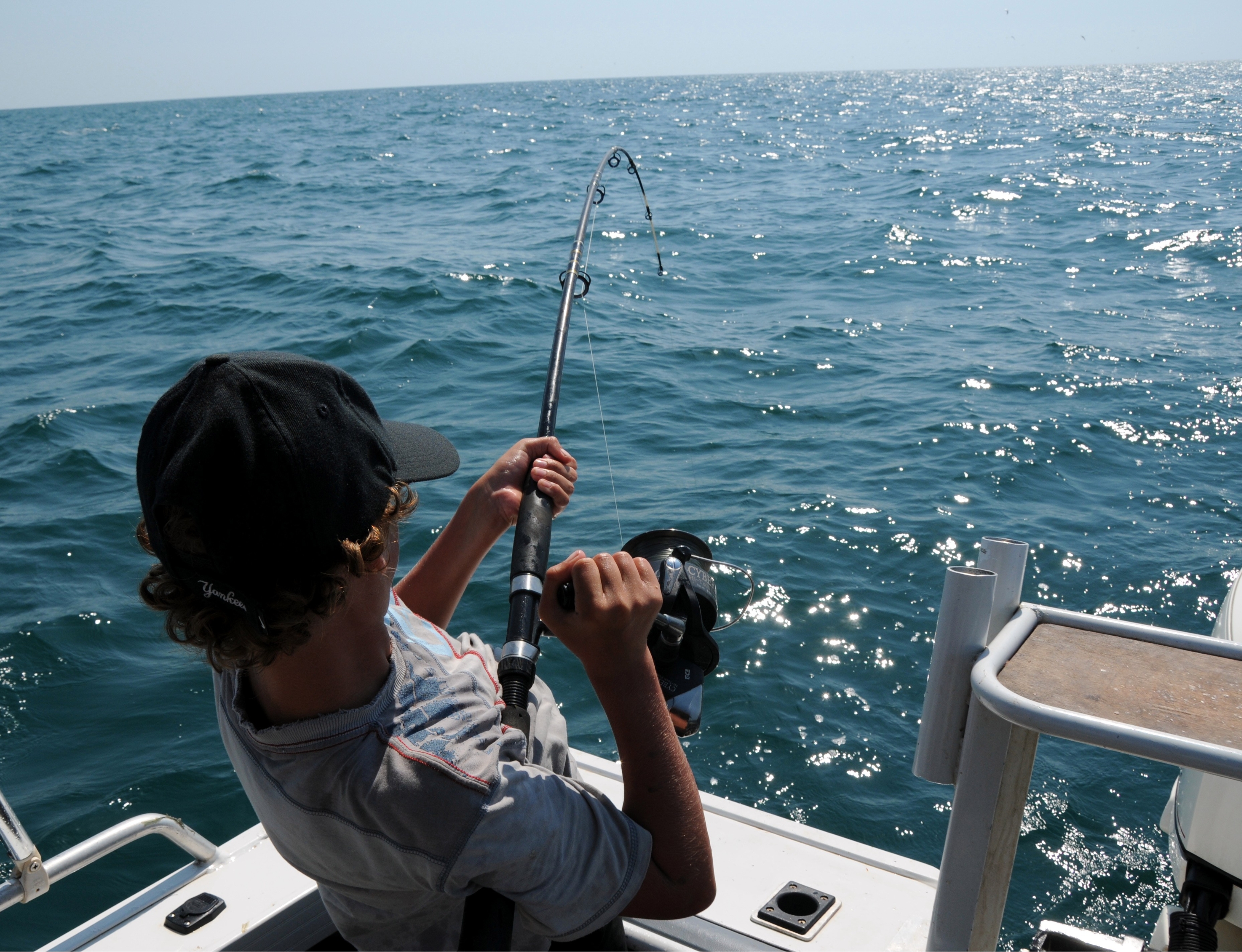 Sardine for sport fishing